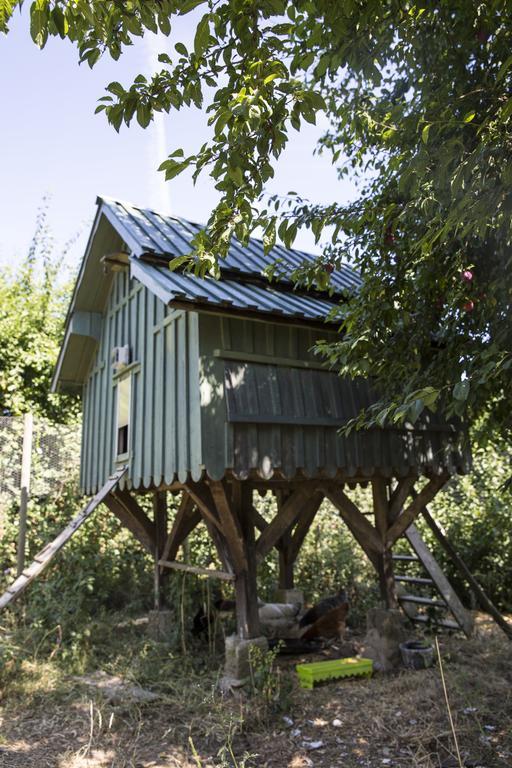 Le Clos Des Abeilles Ruch Exterior photo